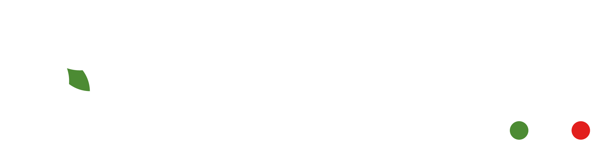 Fondital